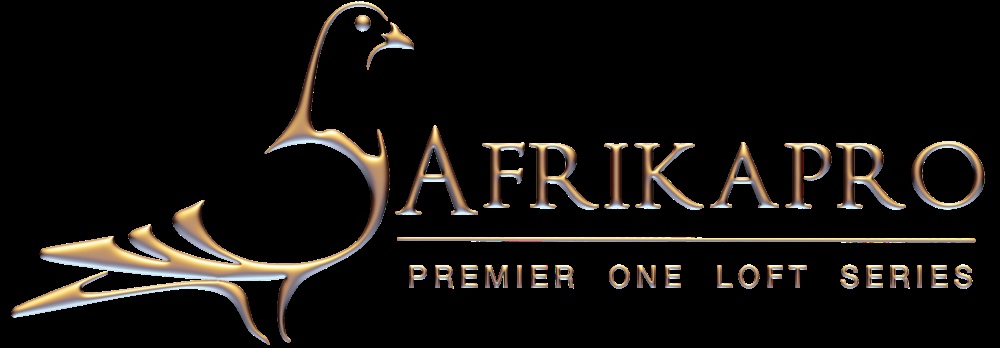 http://www.europaloft.ca/images/Afrikapro-logo-gold.jpg