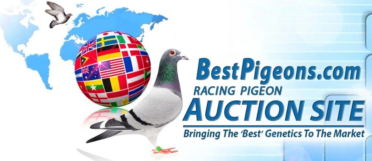 http://www.europaloft.ca/images/BestPigeons-logo.jpg