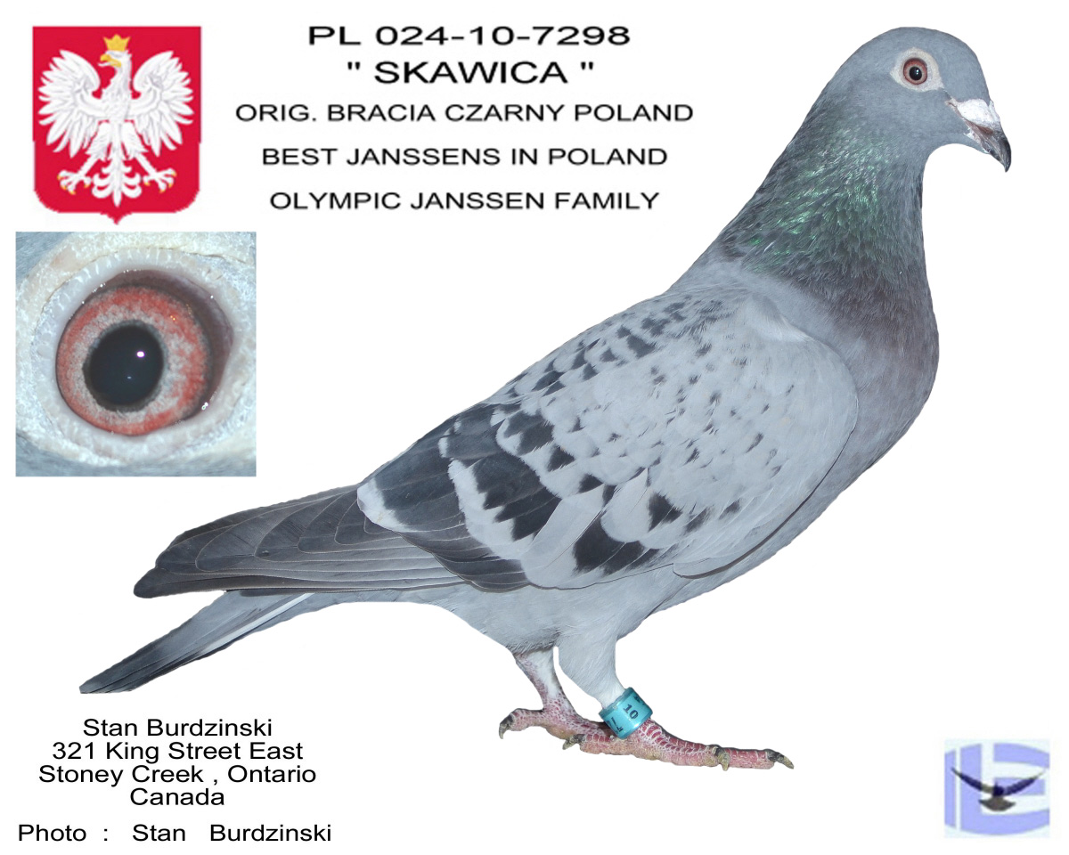 PL024-10-7298.jpg